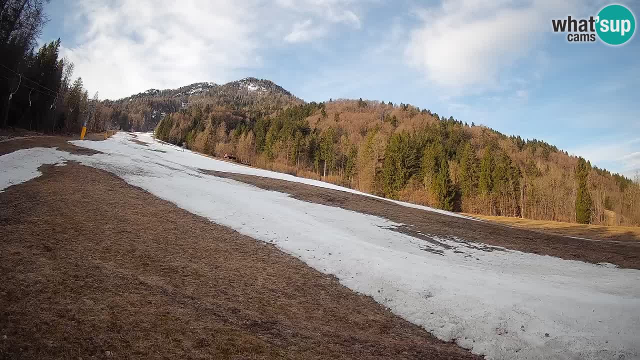 Esquí Kranjska Gora | Brsnina