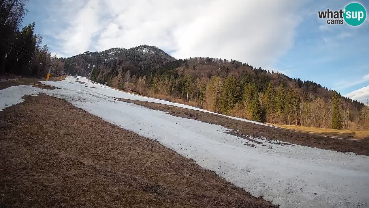 Ski Kranjska Gora | Brsnina