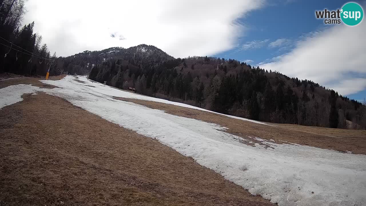 Comprensorio sciistico Kranjska Gora | Brsnina