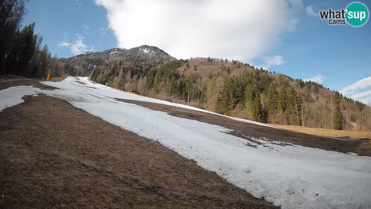 Esquí Kranjska Gora | Brsnina