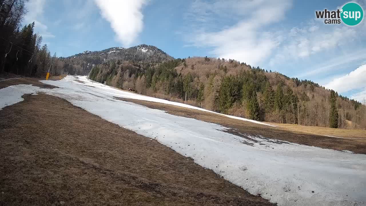 RTC Skigebiet Kranjska Gora | Brsnina
