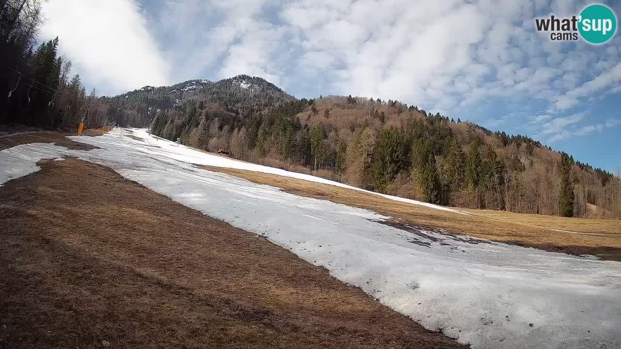 RTC Kranjska Gora | Brsnina