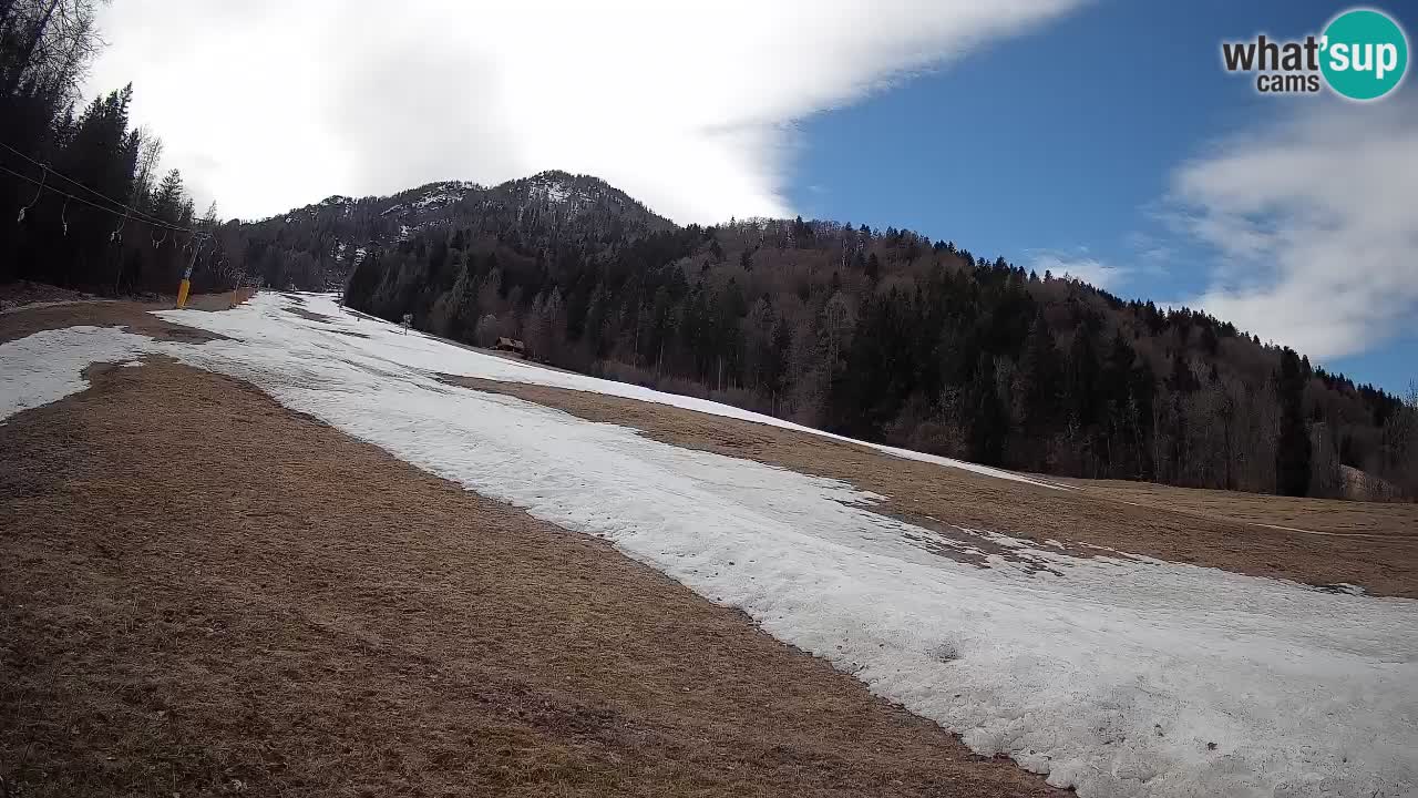 RTC Kranjska Gora | Brsnina
