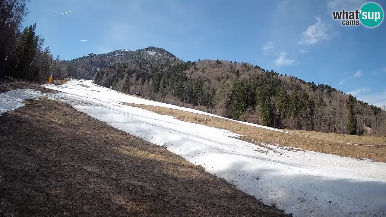 Kranjska Gora Station de ski | Brsnina