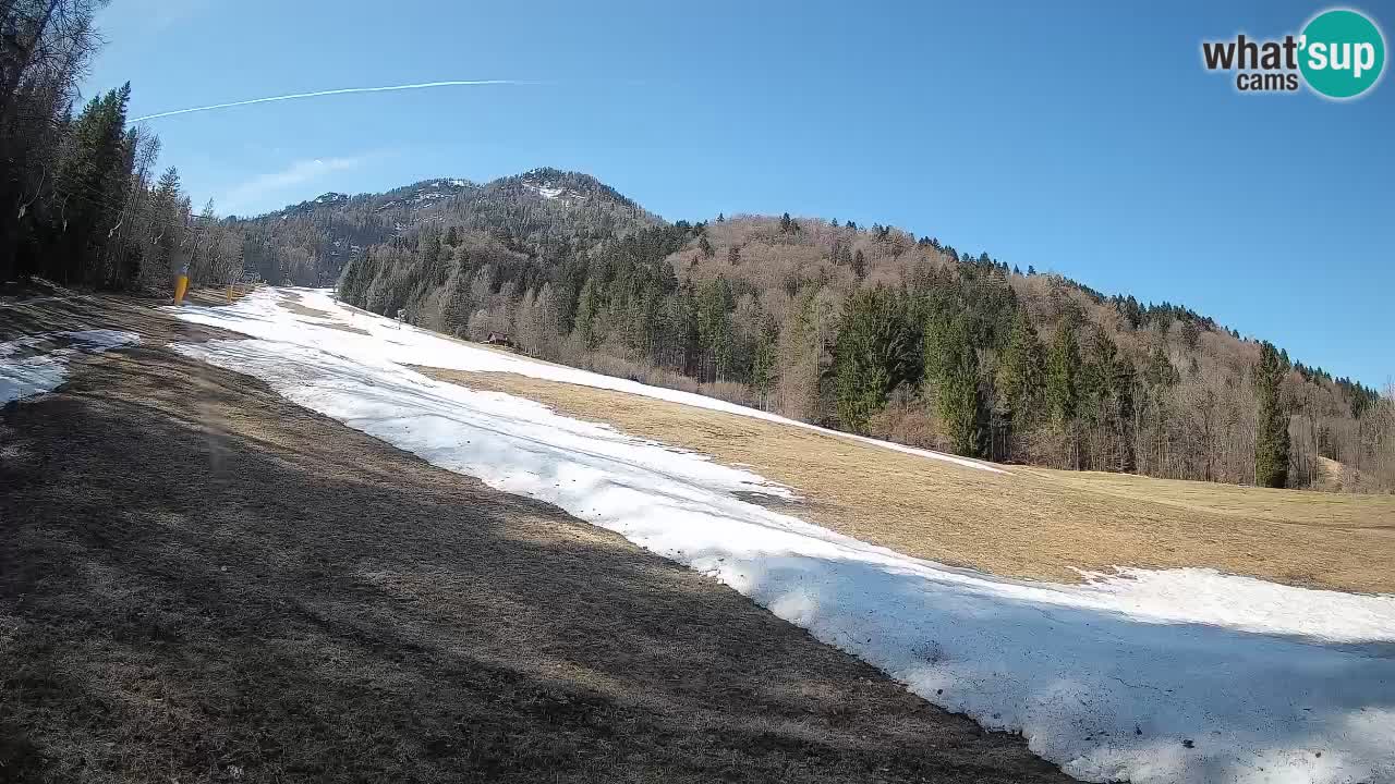 Ski Kranjska Gora | Brsnina