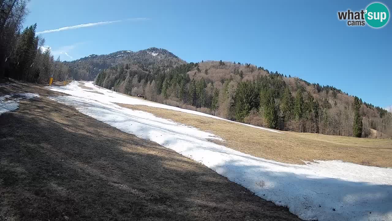 Kranjska Gora SKIJANJE | Brsnina