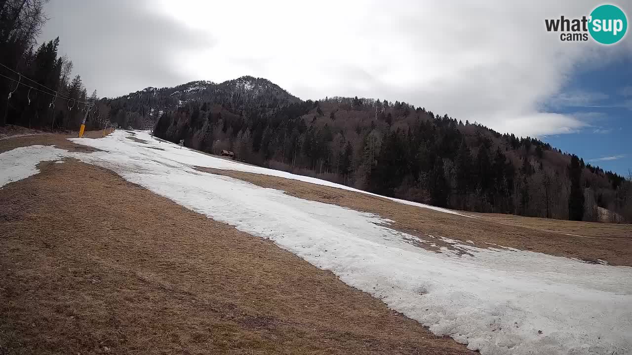 Kranjska Gora SKIJANJE | Brsnina