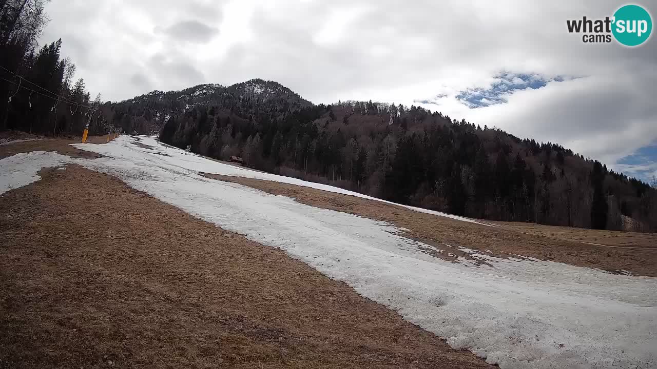 Ski Kranjska Gora | Brsnina
