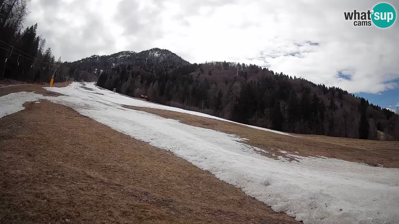 Comprensorio sciistico Kranjska Gora | Brsnina