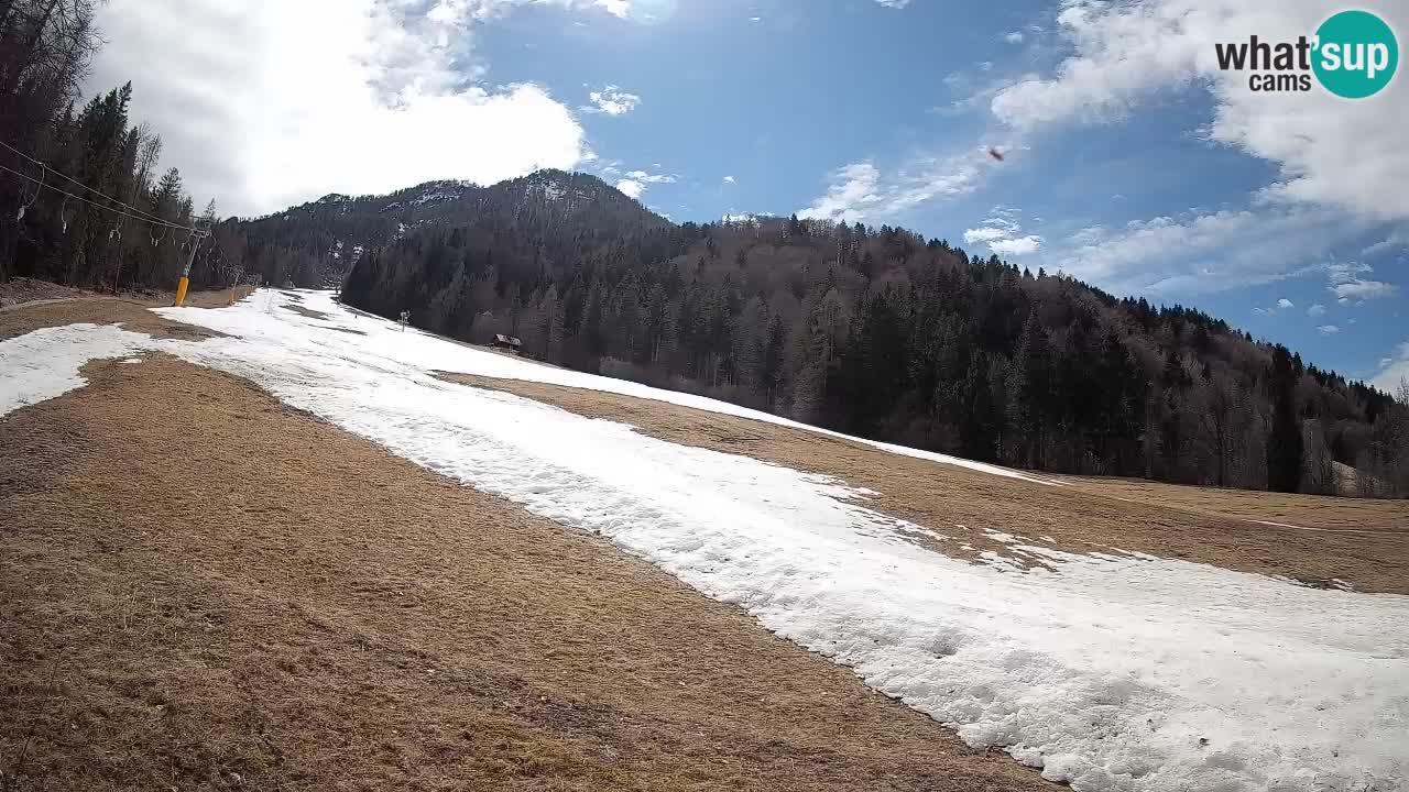 Esquí Kranjska Gora | Brsnina