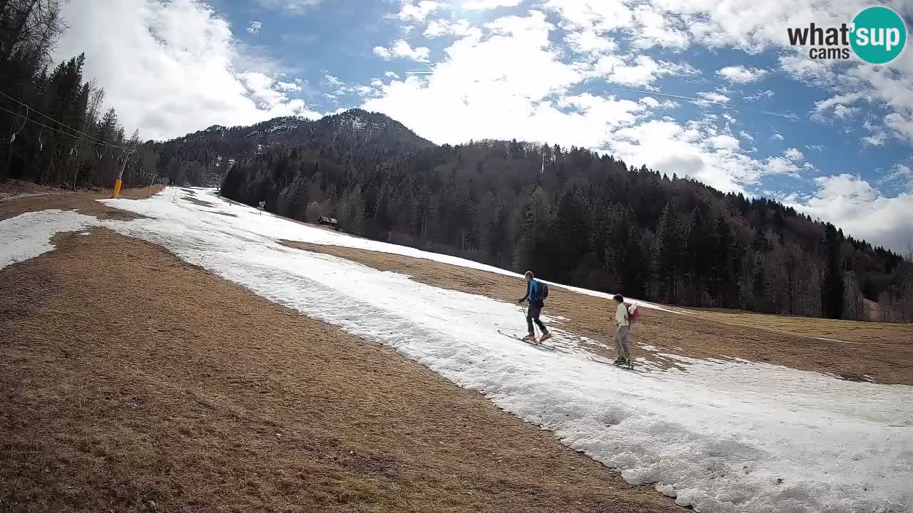 Kranjska Gora Station de ski | Brsnina