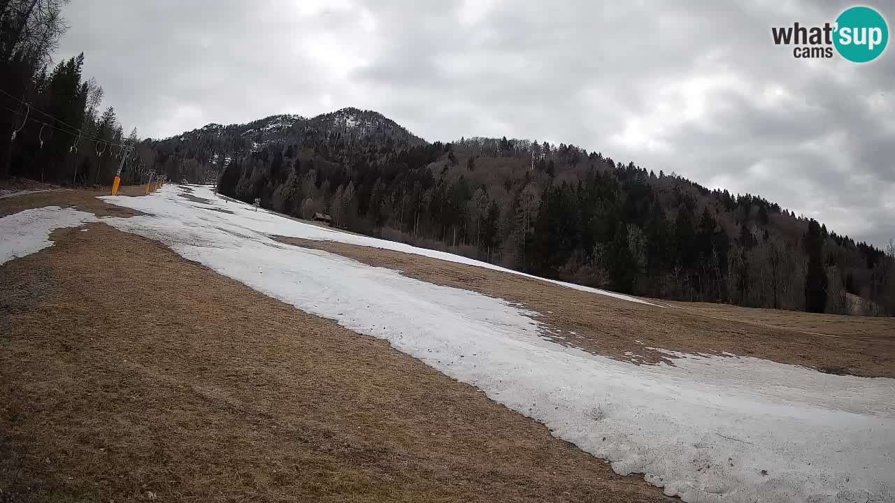 Kranjska Gora SKIJANJE | Brsnina
