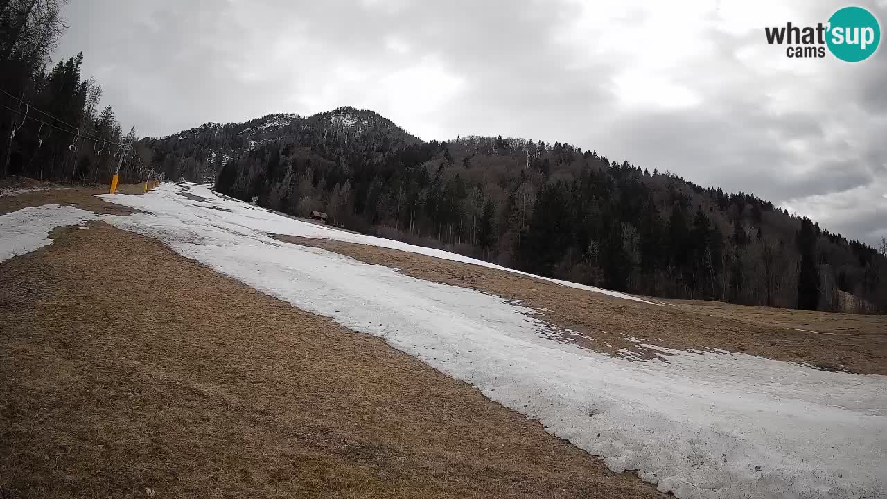 Kranjska Gora SKIJANJE | Brsnina