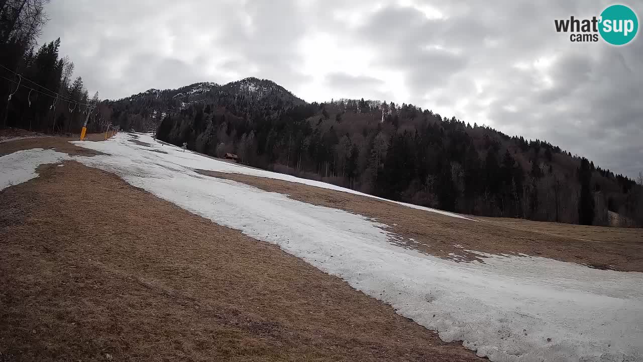 Kranjska Gora Station de ski | Brsnina