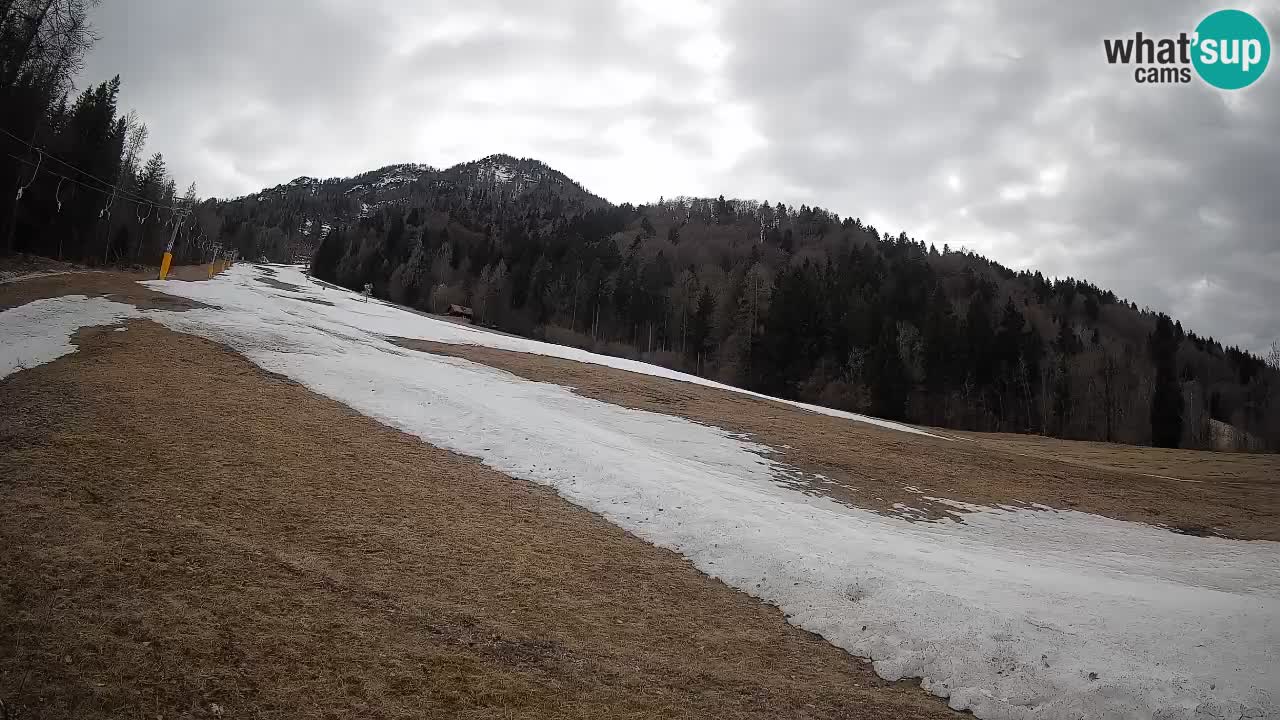 Kranjska Gora SKIJANJE | Brsnina