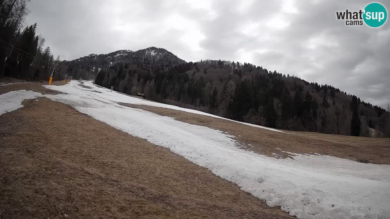 Esquí Kranjska Gora | Brsnina