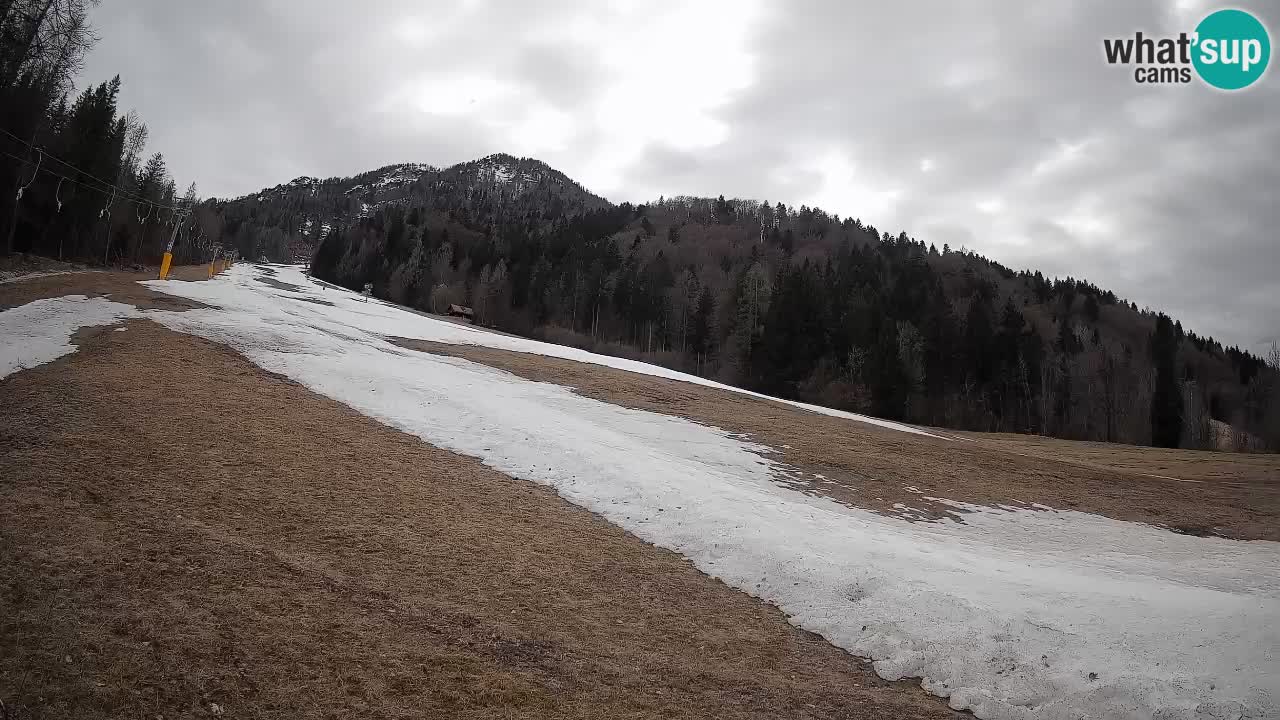 RTC Skigebiet Kranjska Gora | Brsnina