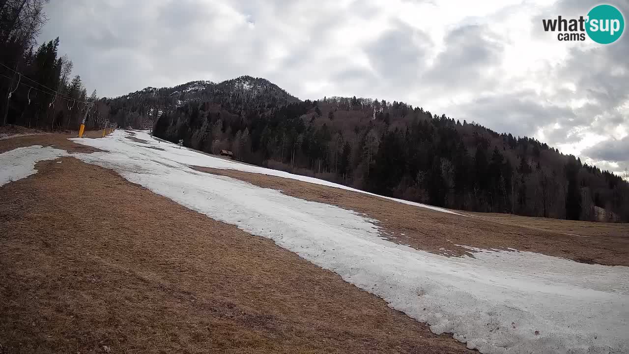 Esquí Kranjska Gora | Brsnina