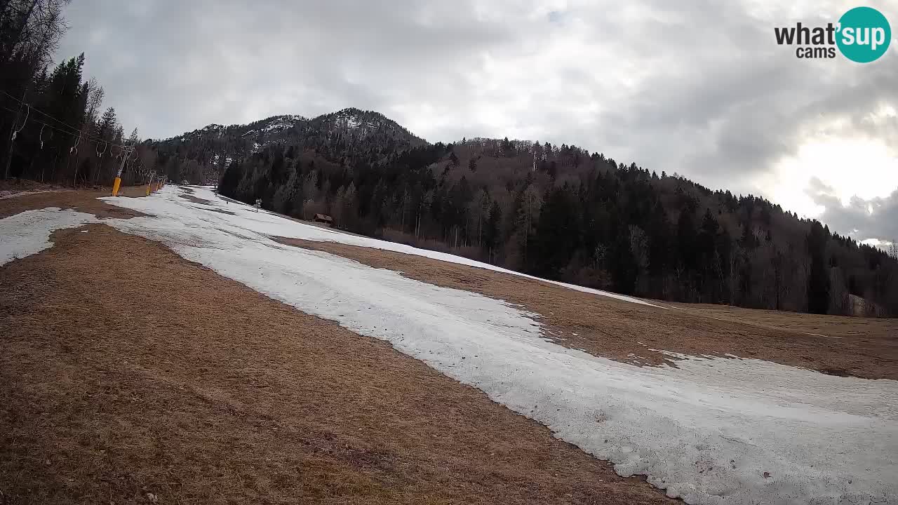 Kranjska Gora Station de ski | Brsnina