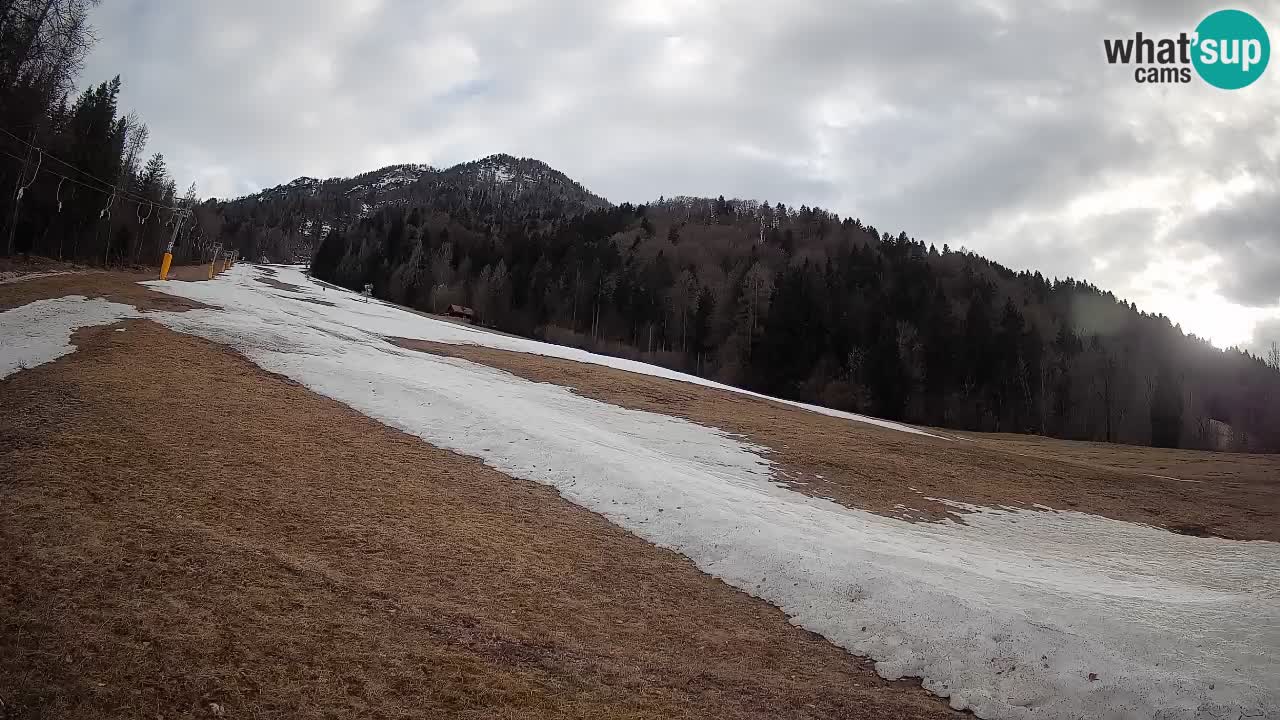 Kranjska Gora Station de ski | Brsnina
