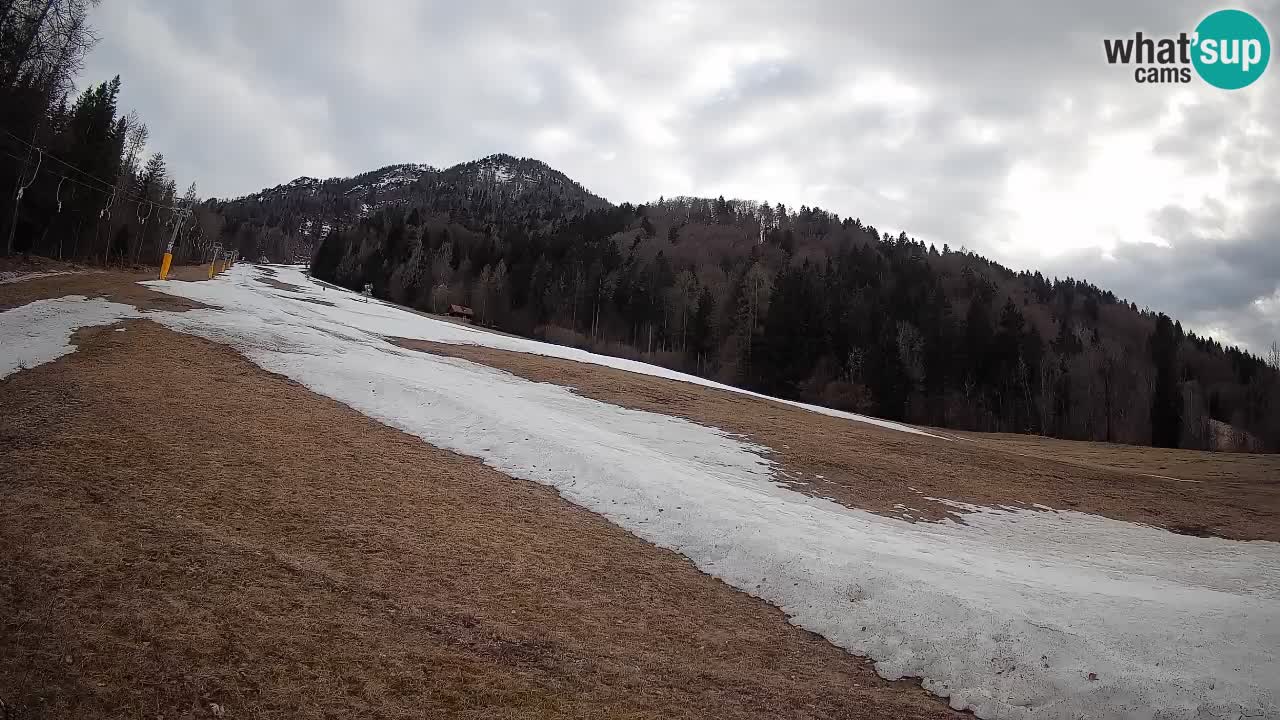 Comprensorio sciistico Kranjska Gora | Brsnina
