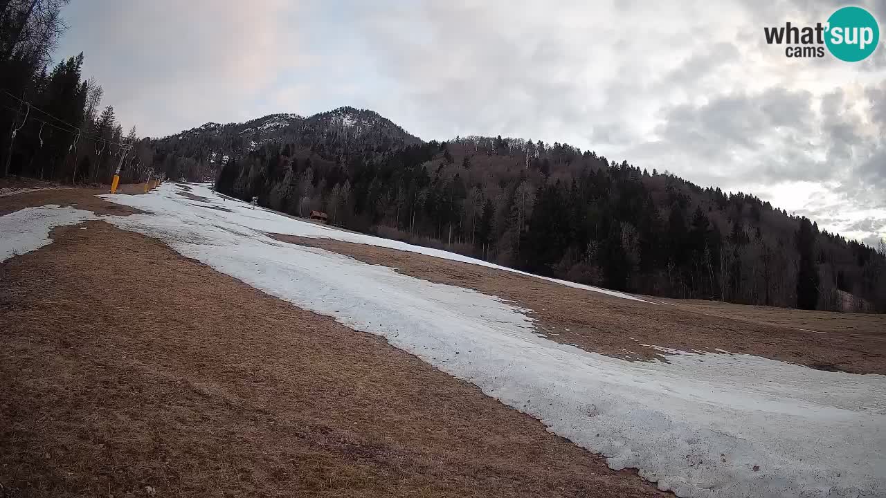 RTC Skigebiet Kranjska Gora | Brsnina