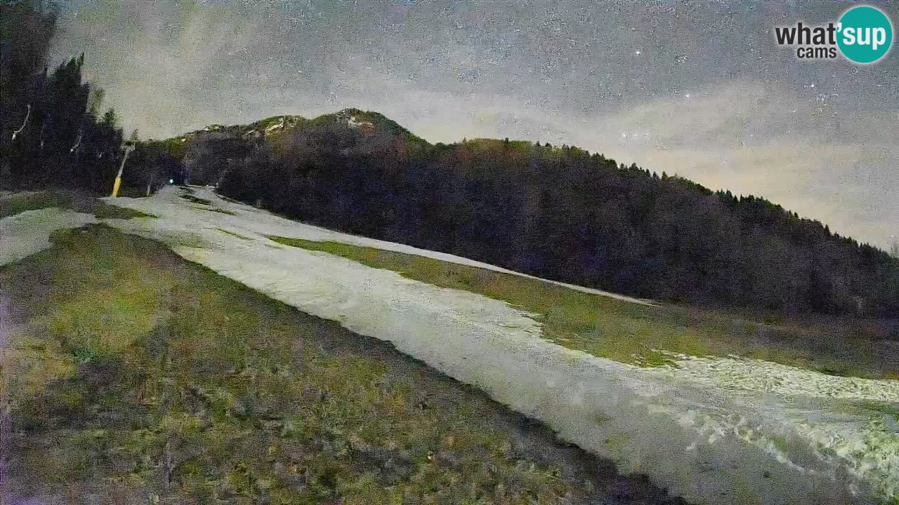 Kranjska Gora Station de ski | Brsnina