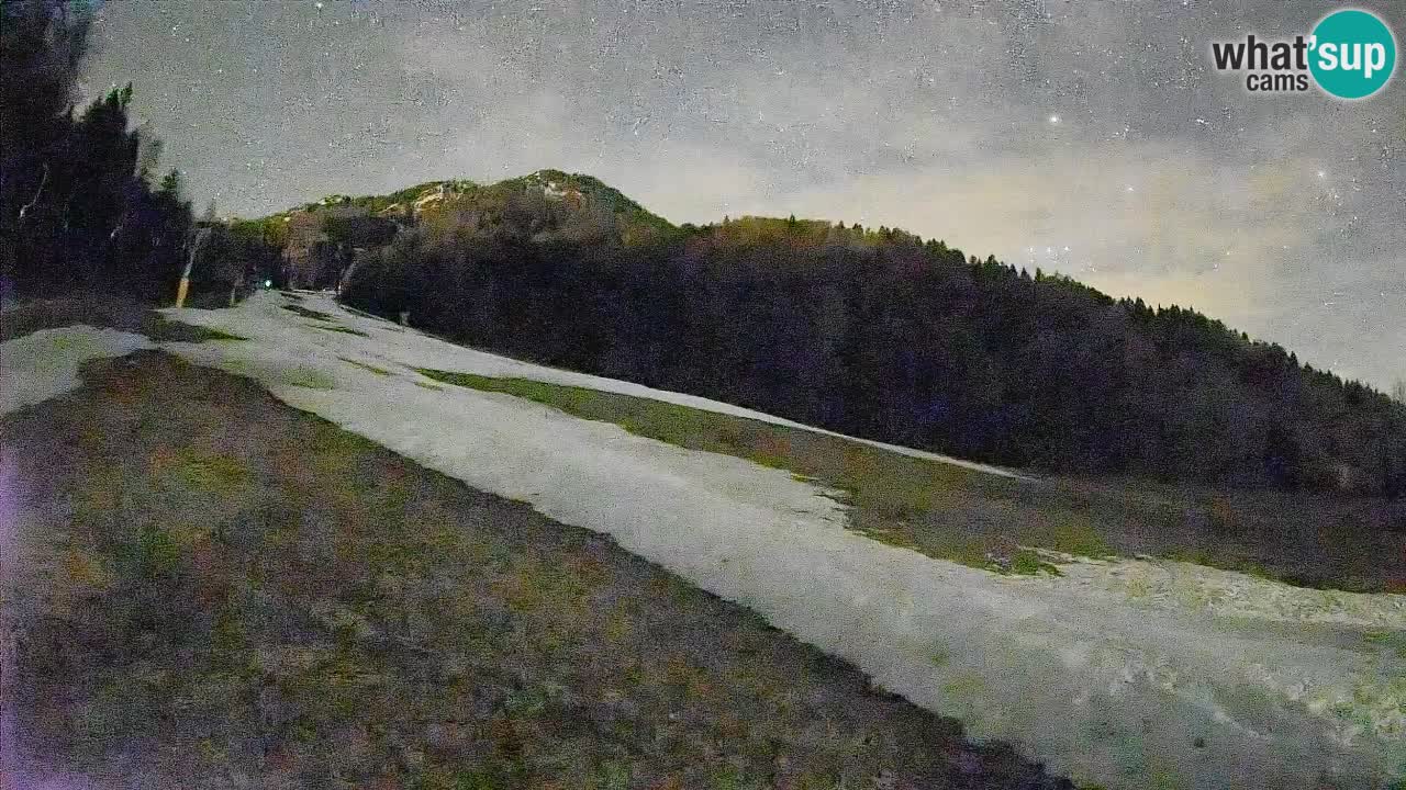 RTC Kranjska Gora | Brsnina