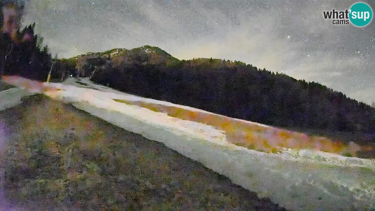 RTC Skigebiet Kranjska Gora | Brsnina