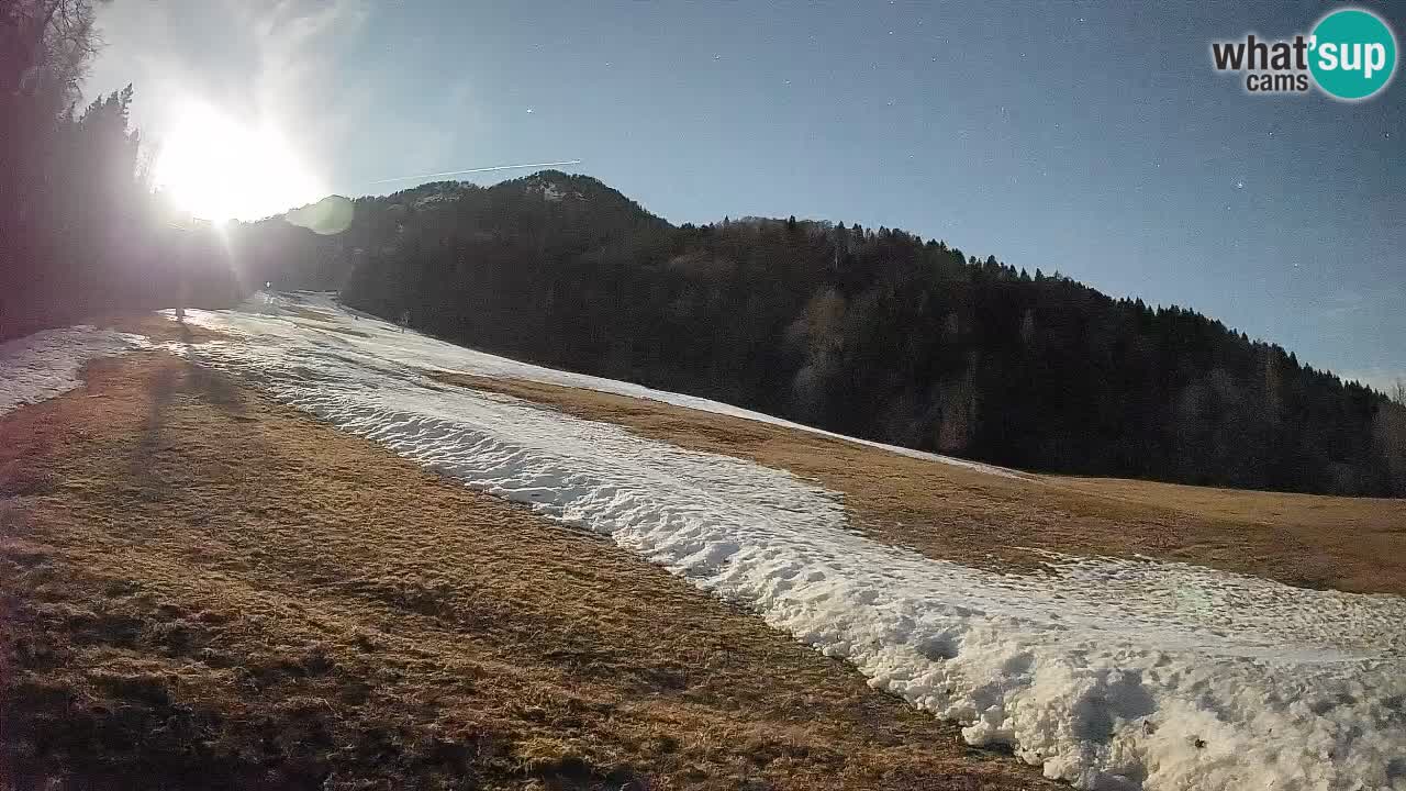 Kranjska Gora Station de ski | Brsnina