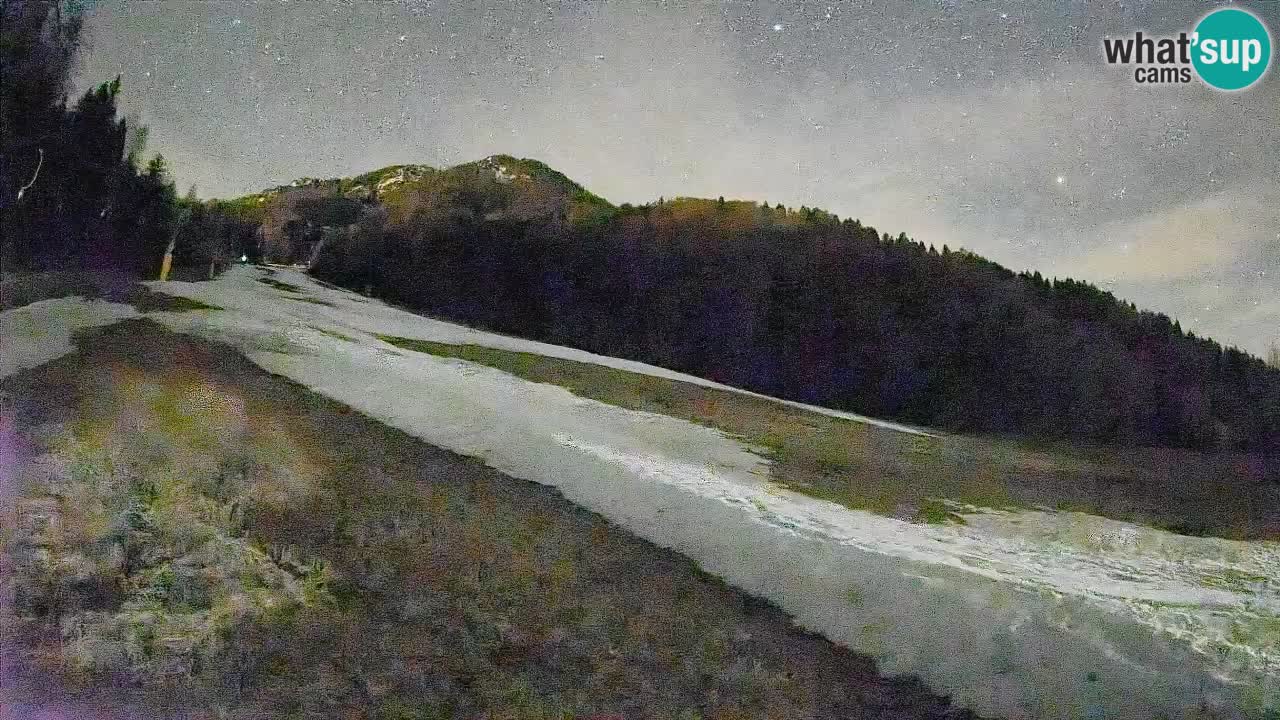 Ski Kranjska Gora | Brsnina