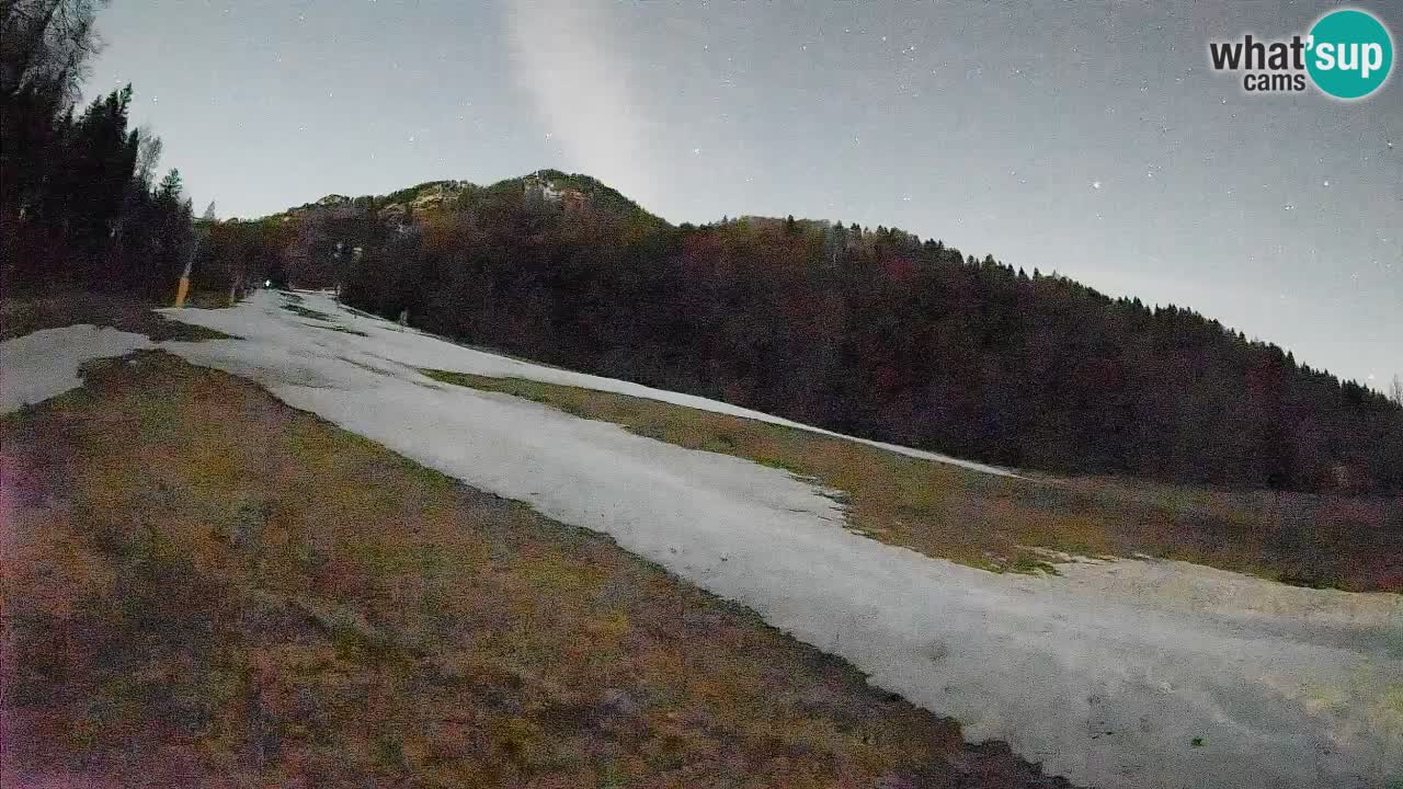 RTC Skigebiet Kranjska Gora | Brsnina