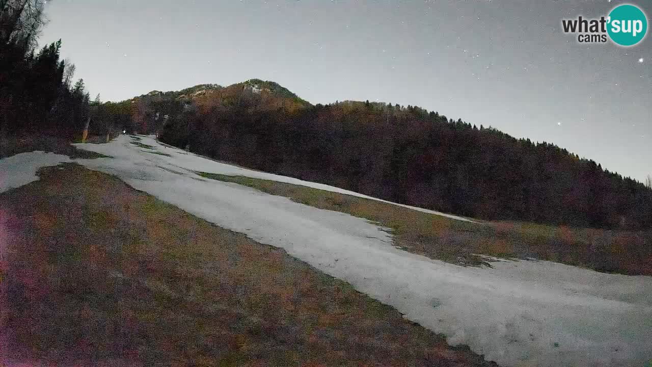 Ski Kranjska Gora | Brsnina