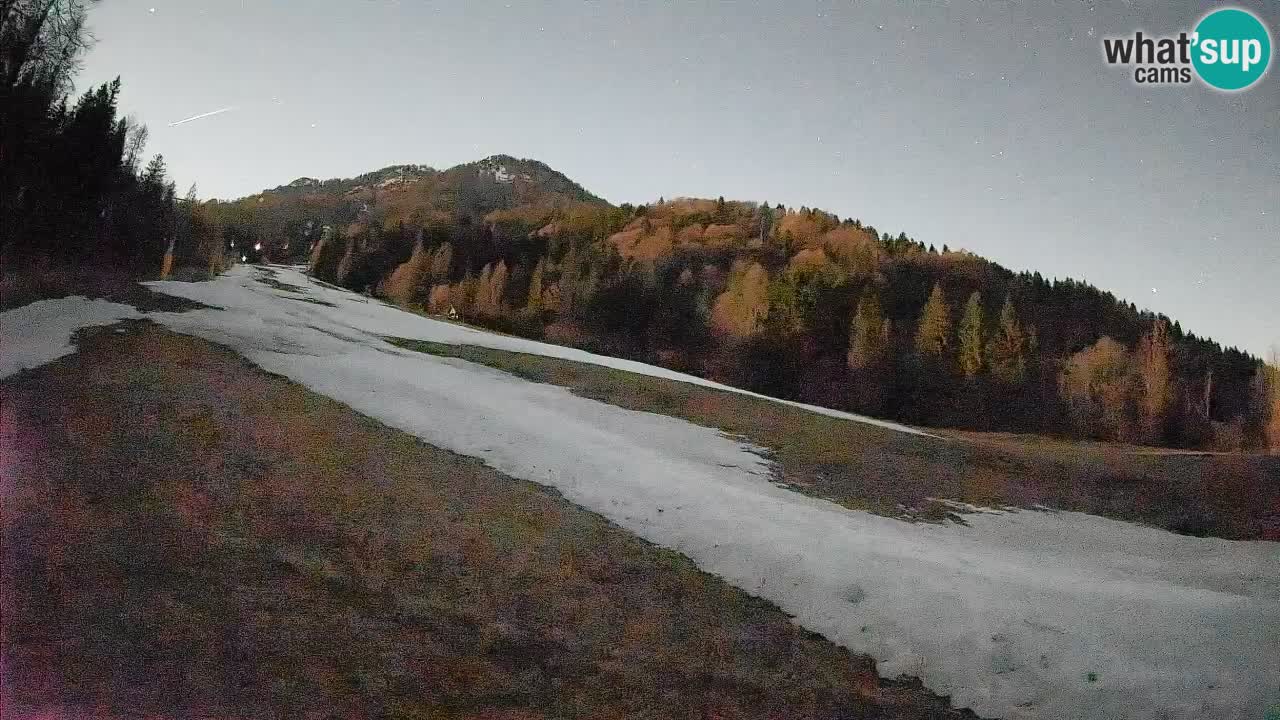 Comprensorio sciistico Kranjska Gora | Brsnina