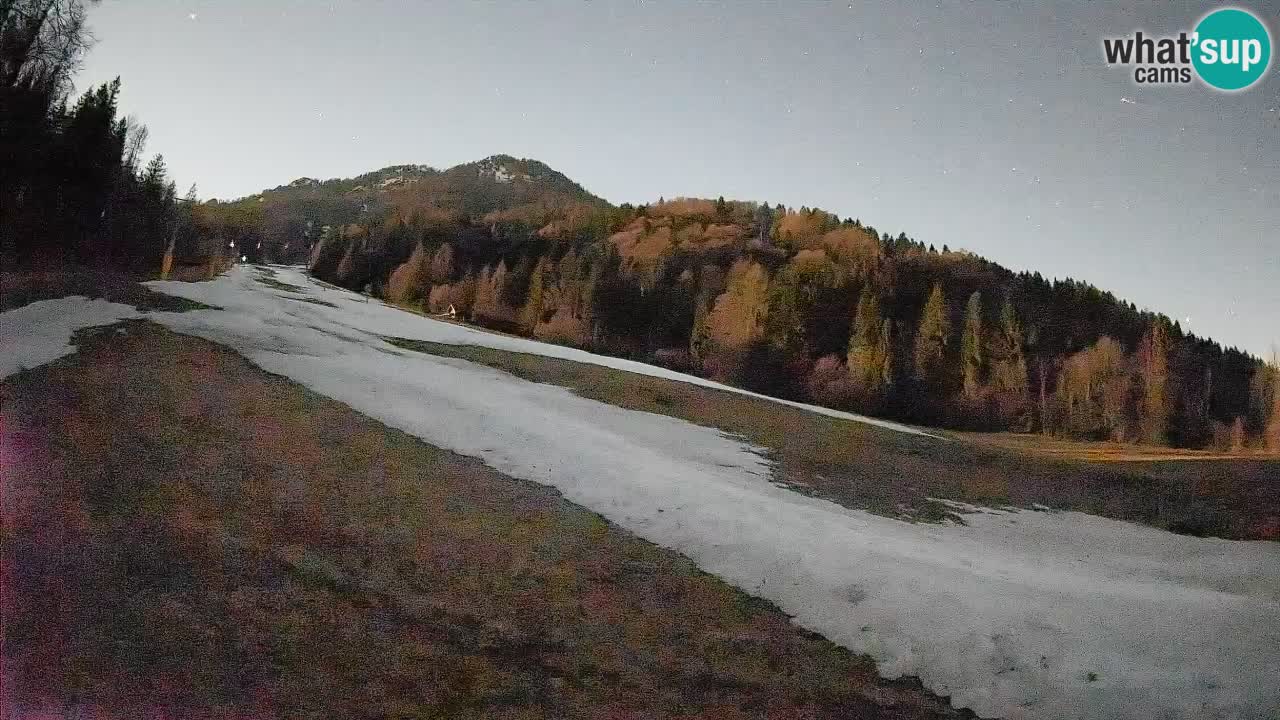 RTC Skigebiet Kranjska Gora | Brsnina