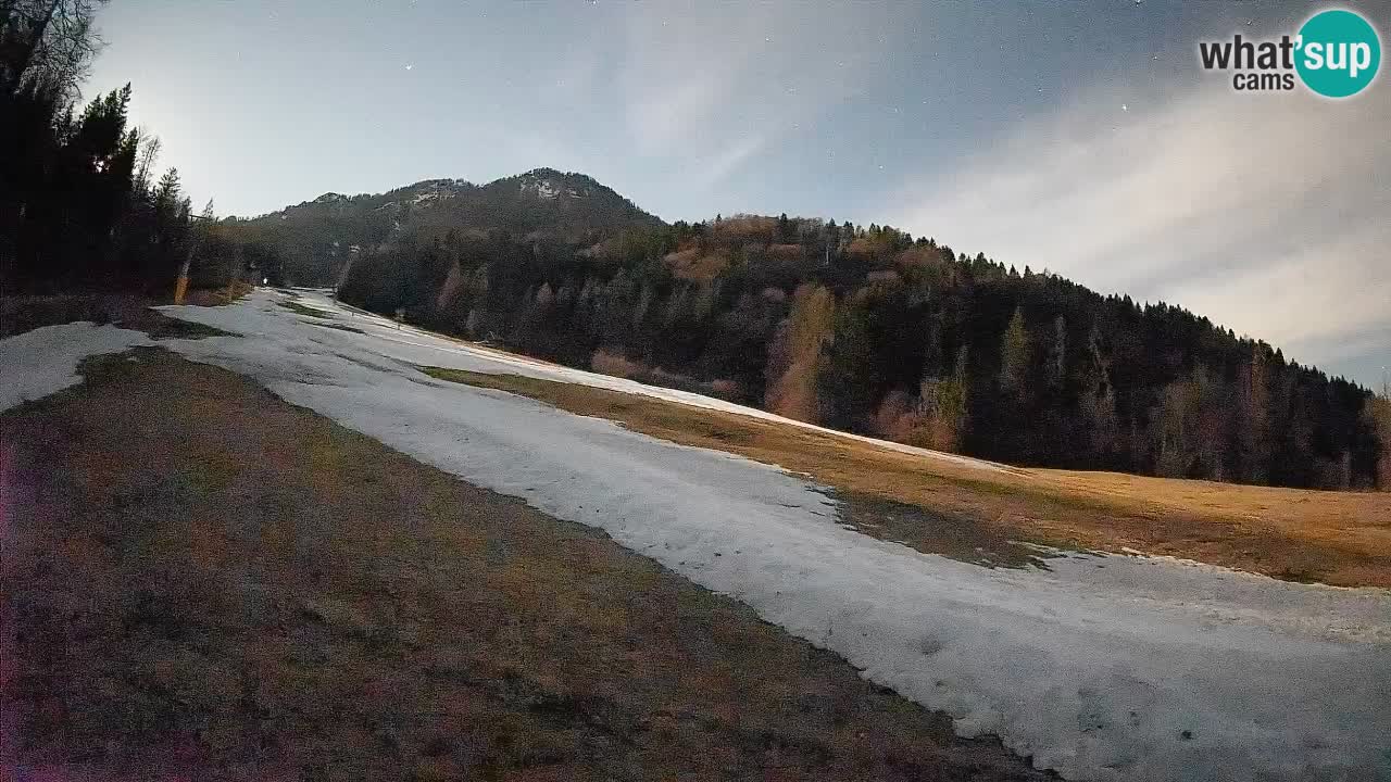 Comprensorio sciistico Kranjska Gora | Brsnina