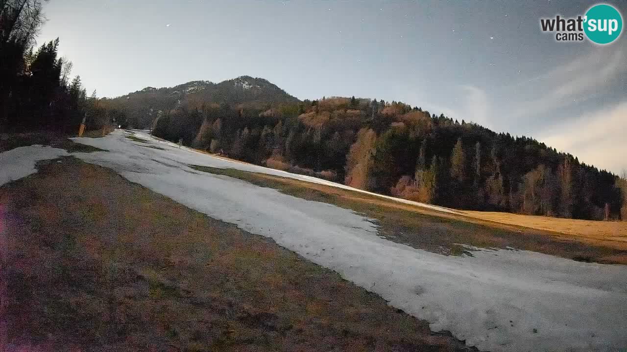 Ski Kranjska Gora | Brsnina