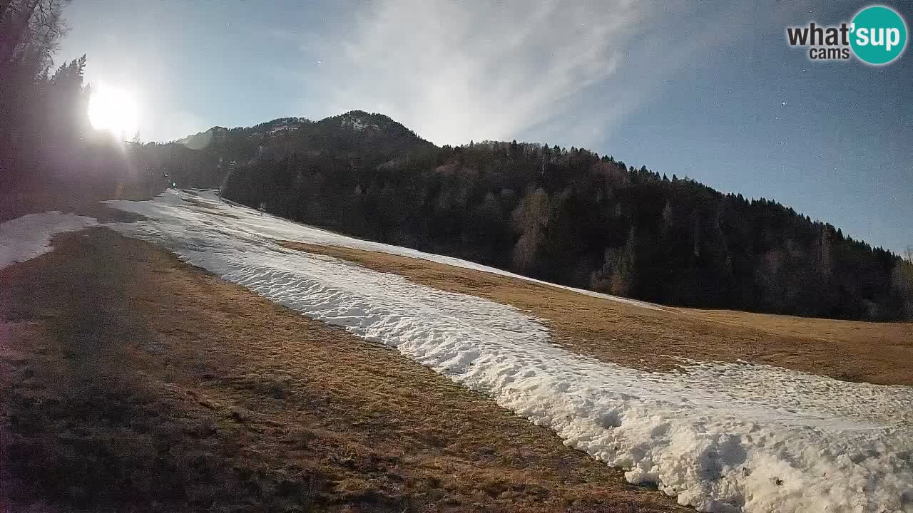 RTC Skigebiet Kranjska Gora | Brsnina