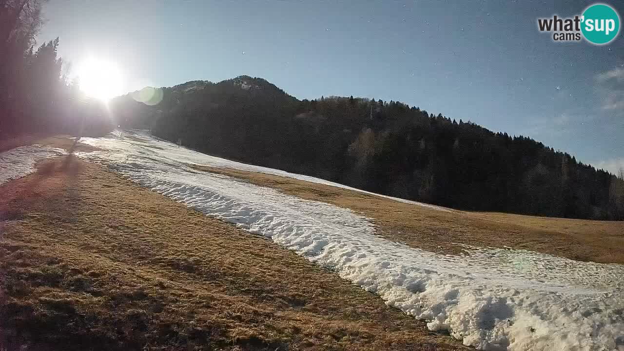 Esquí Kranjska Gora | Brsnina