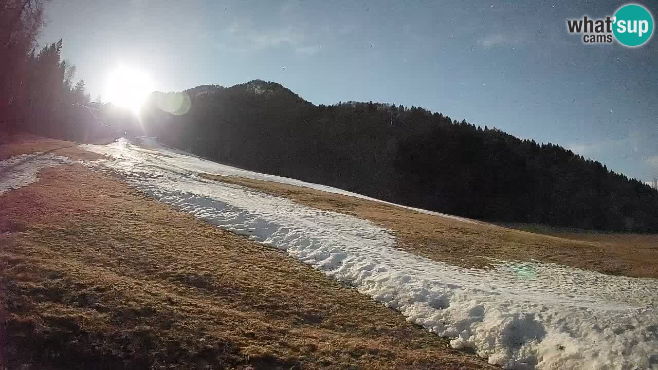 Comprensorio sciistico Kranjska Gora | Brsnina