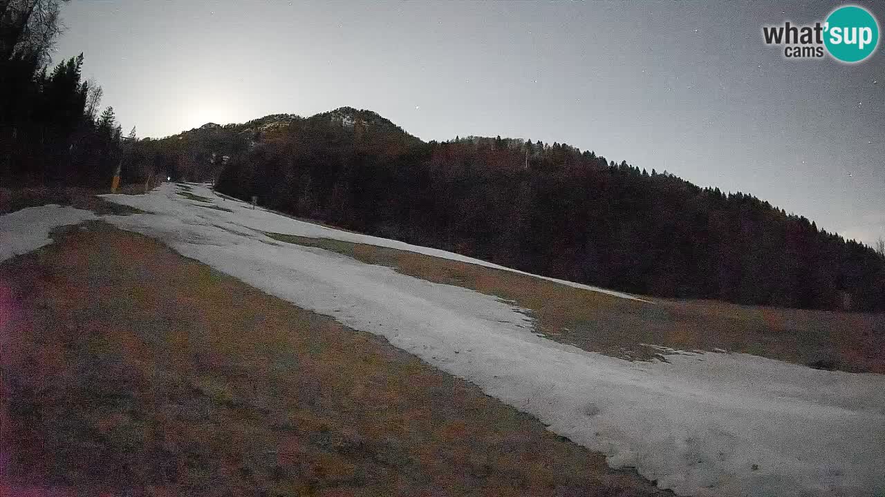 RTC Skigebiet Kranjska Gora | Brsnina