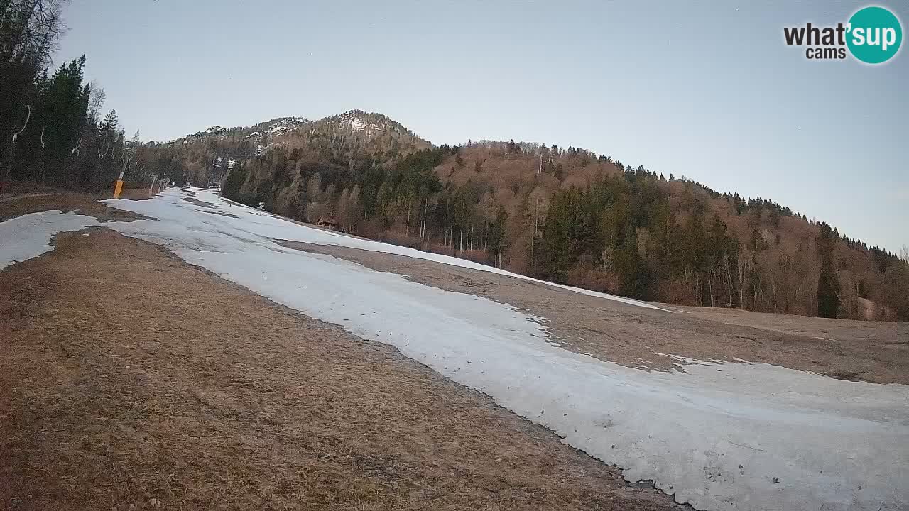 Kranjska Gora Station de ski | Brsnina