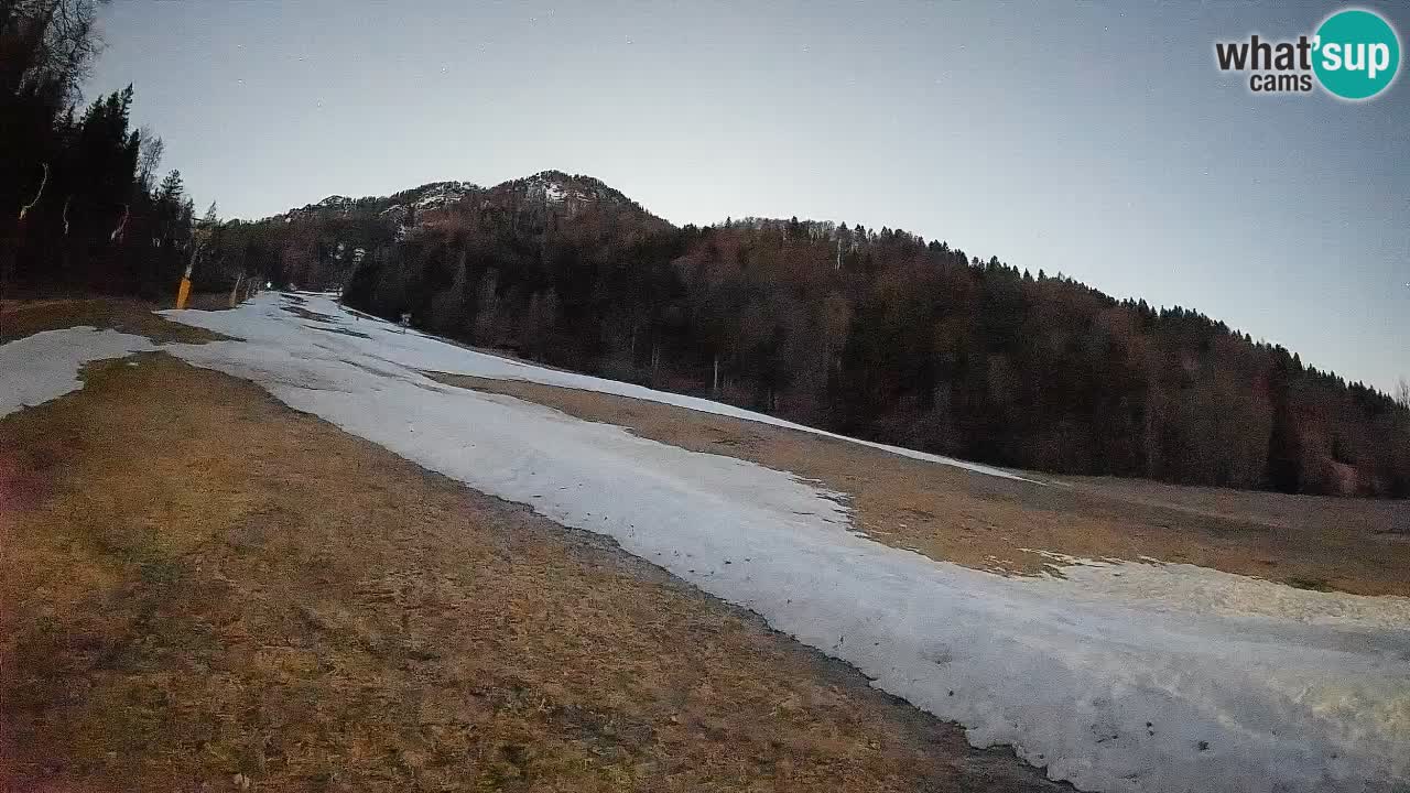 Kranjska Gora Station de ski | Brsnina