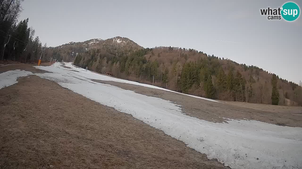 Comprensorio sciistico Kranjska Gora | Brsnina