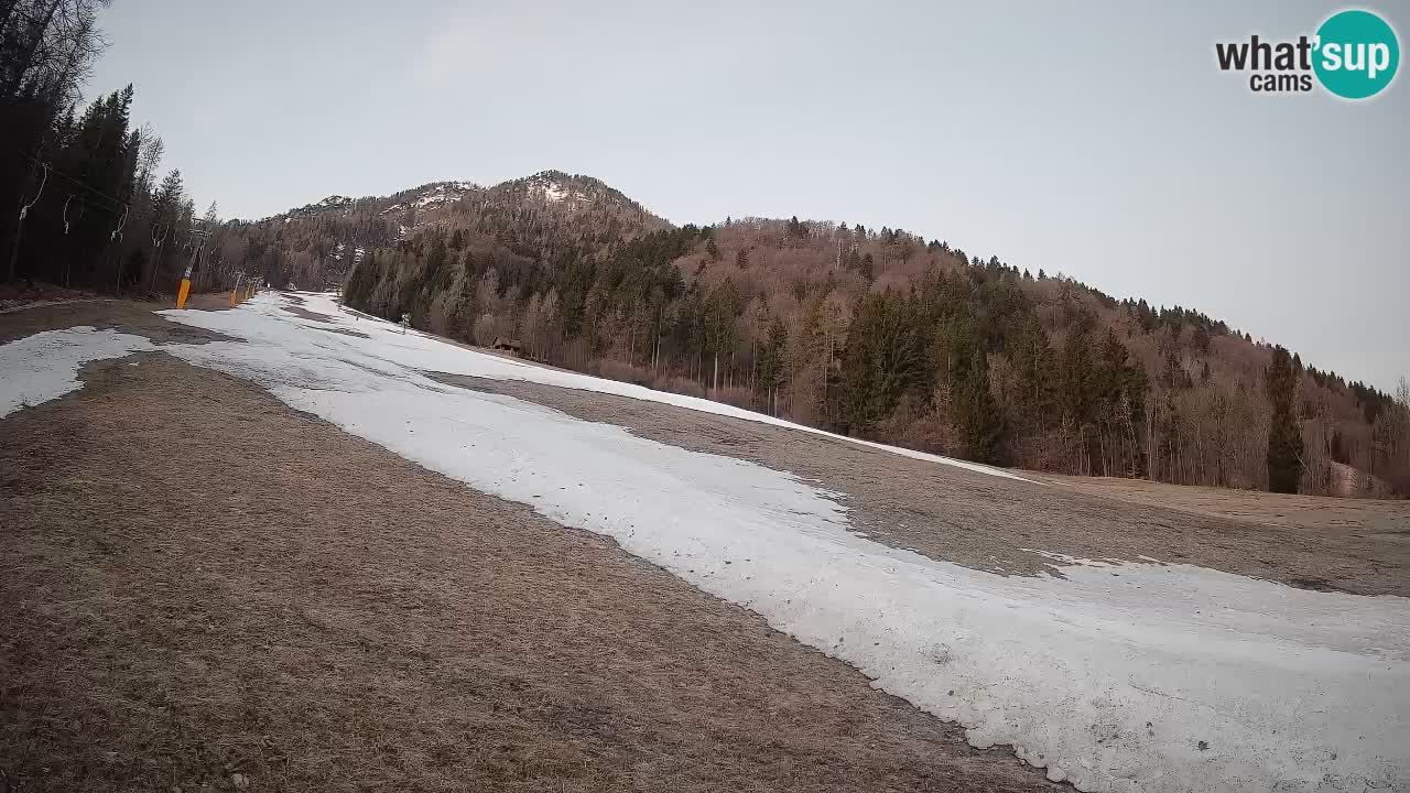 Kranjska Gora Station de ski | Brsnina