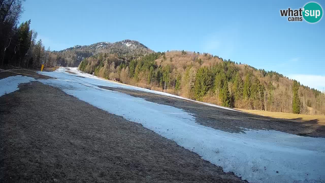Ski Kranjska Gora | Brsnina
