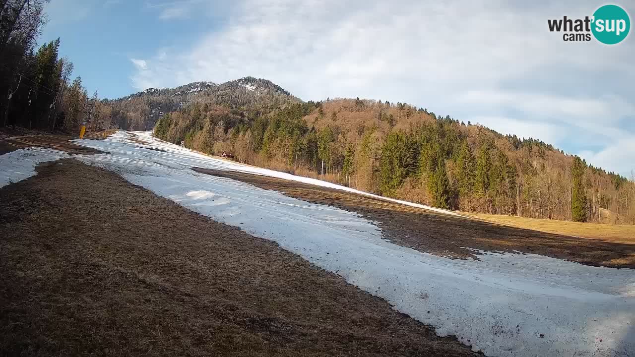Kranjska Gora Station de ski | Brsnina