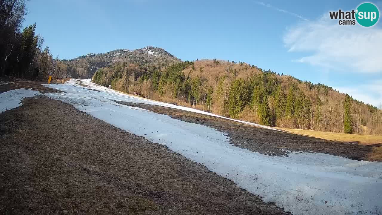 Kranjska Gora Station de ski | Brsnina