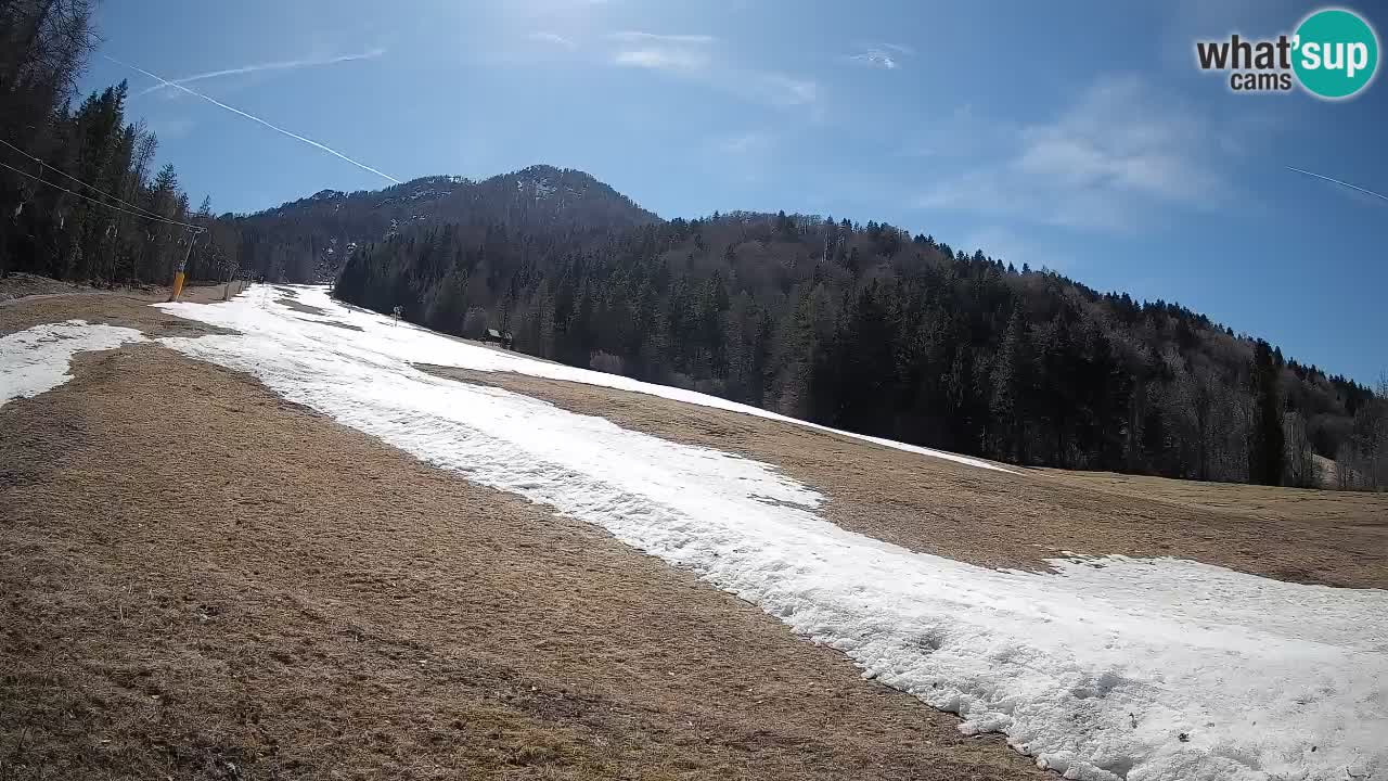 RTC Kranjska Gora | Brsnina
