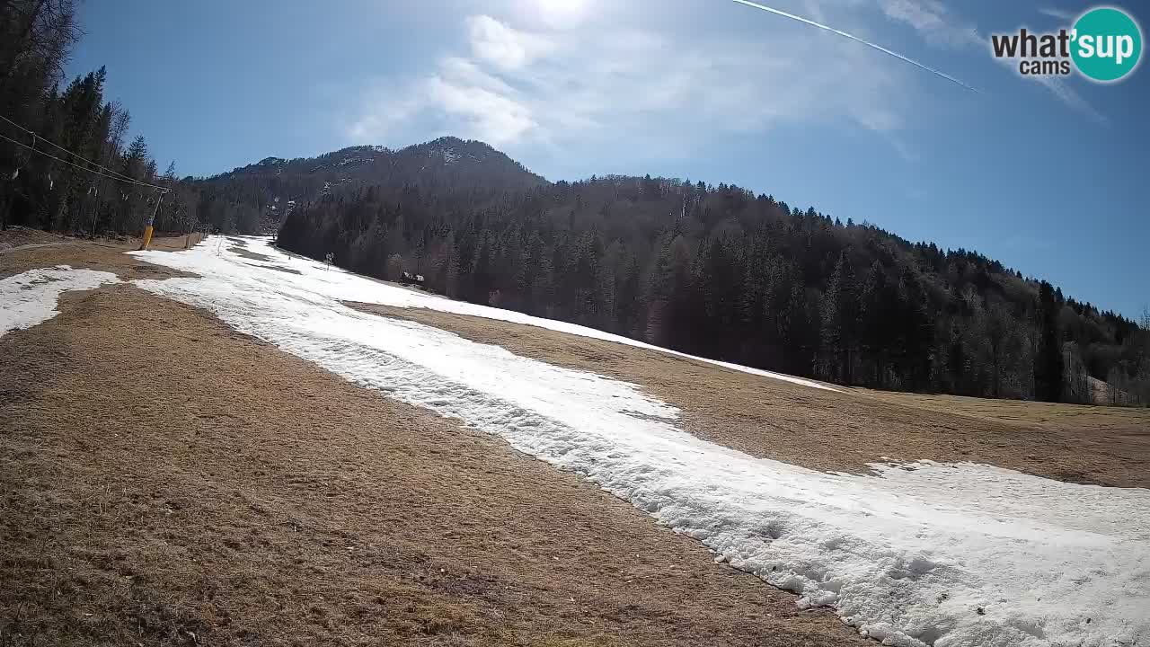 Ski Kranjska Gora | Brsnina